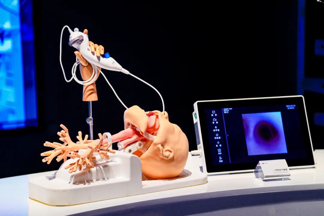 1717398961679975tL7H.jpg 1717398961679975tL7H.jpg